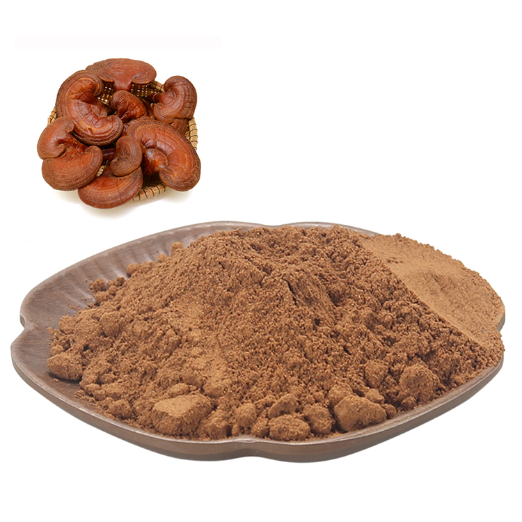 Can Reishi Mushroom Improve Sleep Quality Naturally?